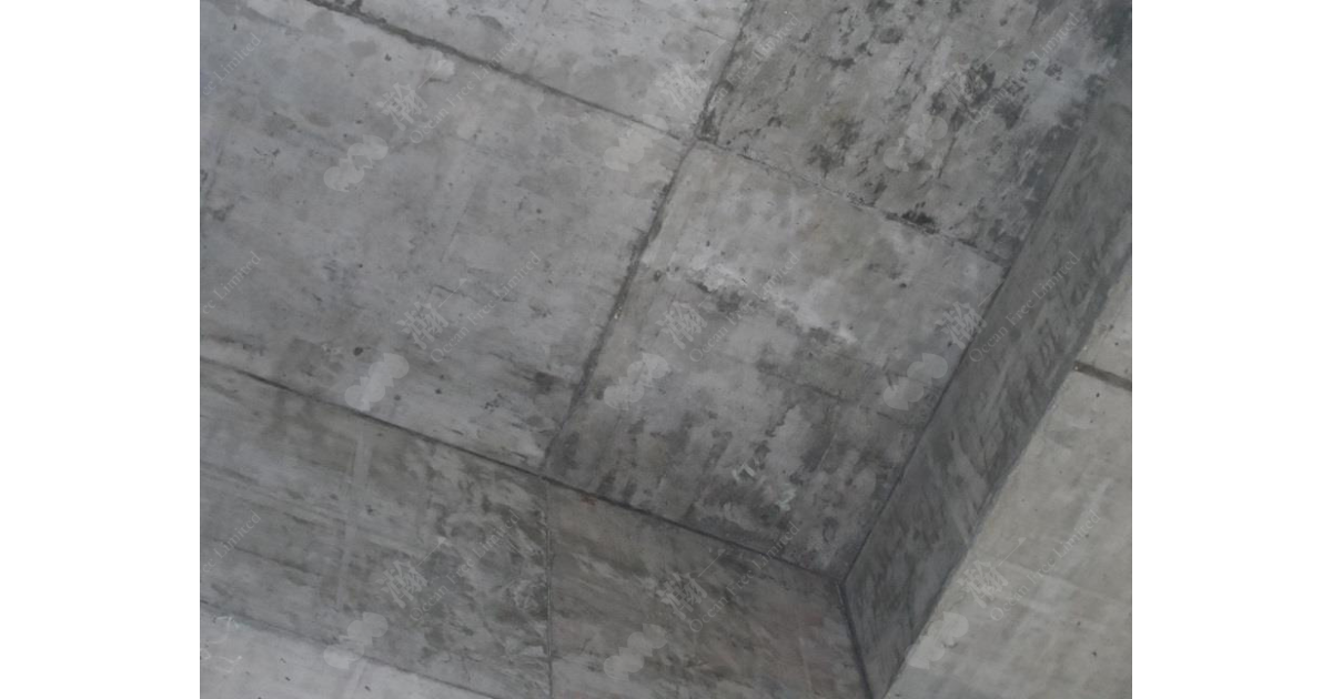 天花牆身保溫工程_施工前_天花出現冷凝水2